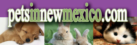 Pets in New Mexico