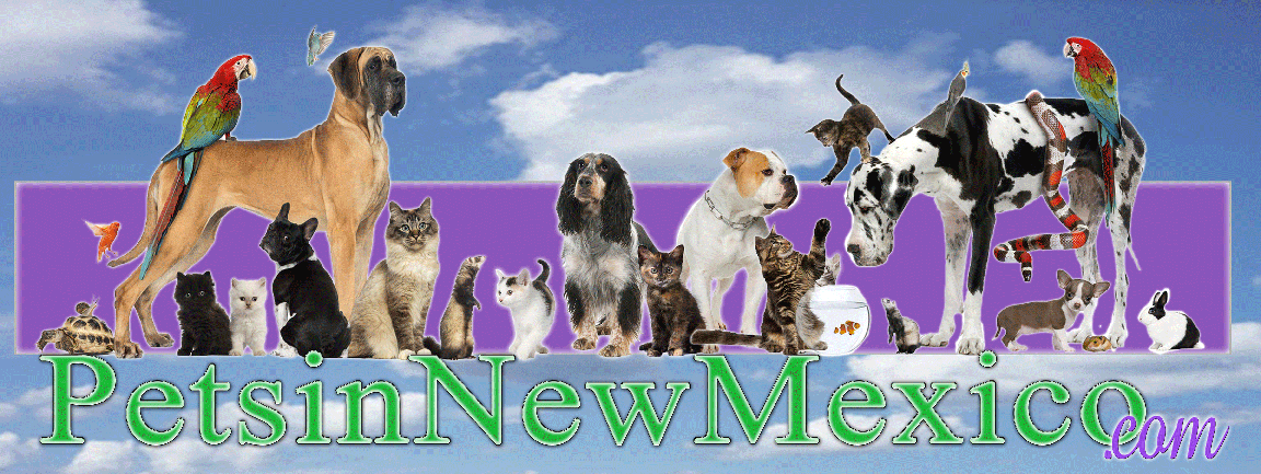 Pets in New Mexico